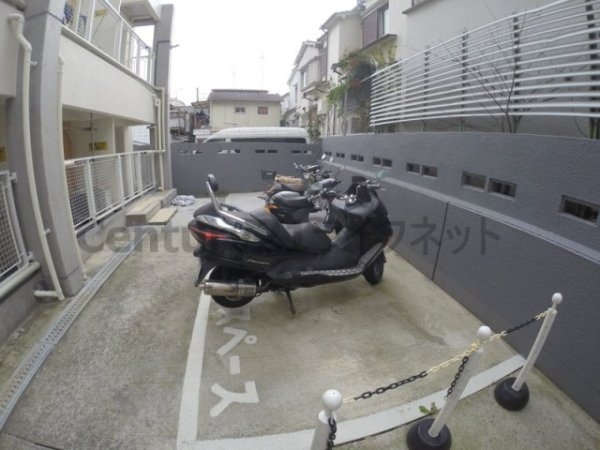 サフラン木下