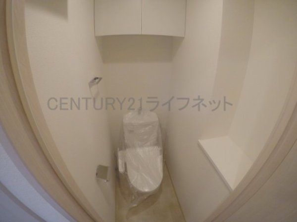 スプランディッド7