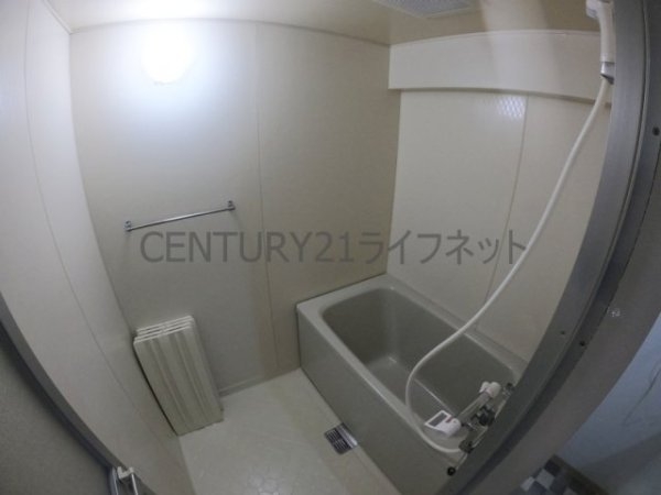 ブルックパレス