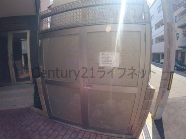 ブリッサフェリス
