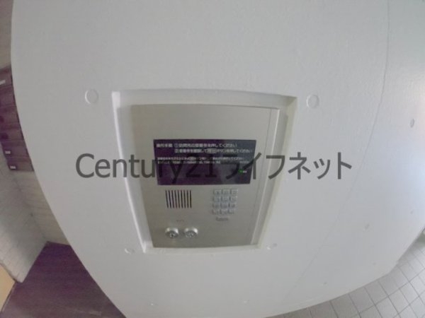 ノーブルコート