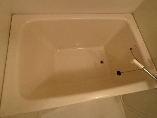 カラコレス穂波