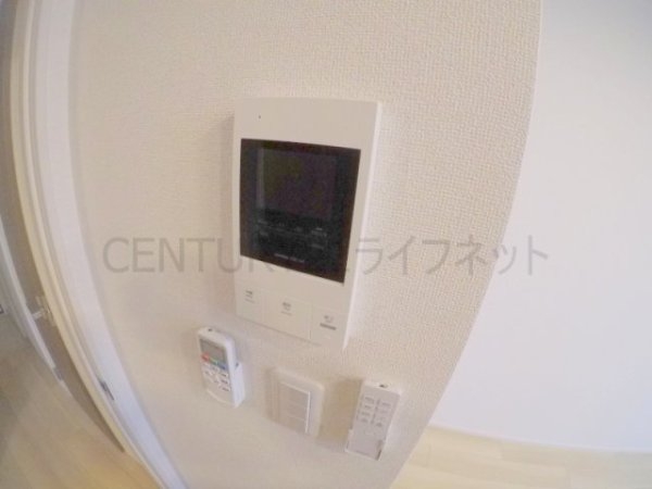 トゥジーテ