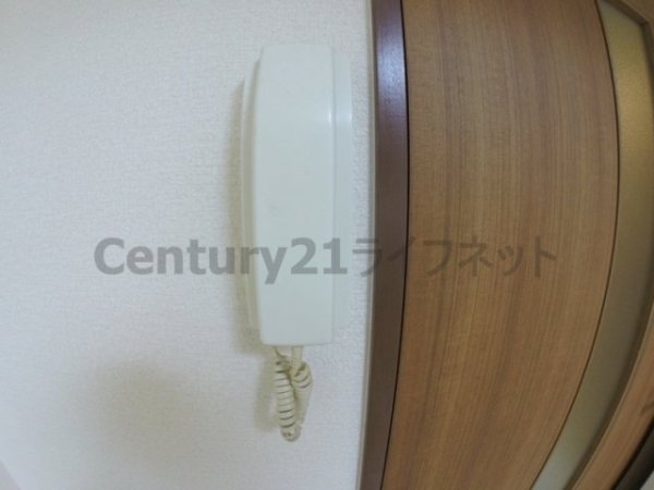メゾネットフジ