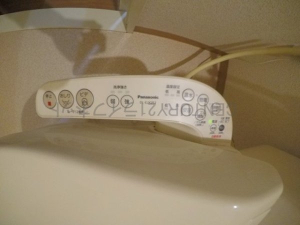 ディオサC・S