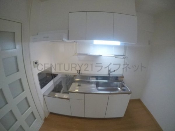ディオサC・S