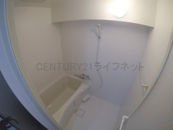 ディオサC・S