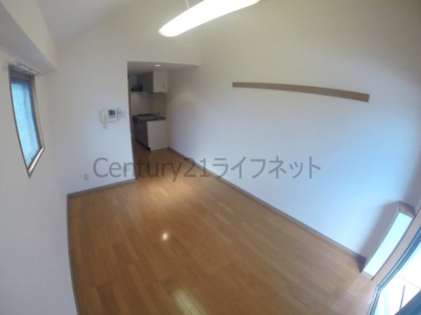 オーパス