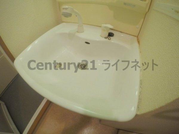 オーパス