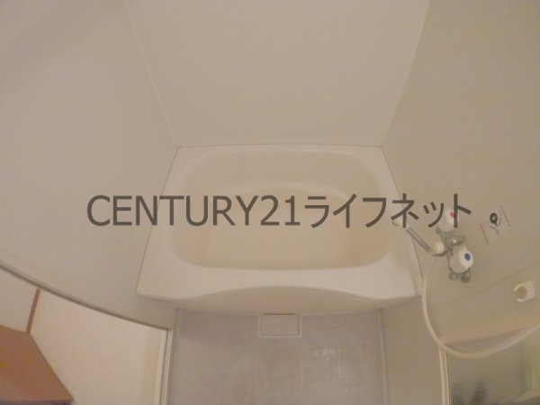 ビオトープ　ザジヴェ