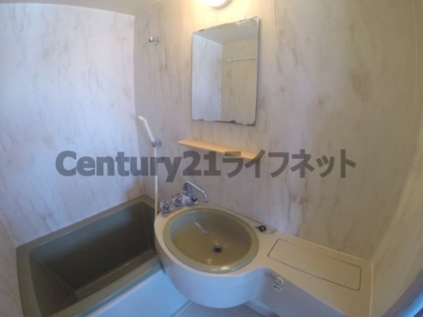 アルテ118