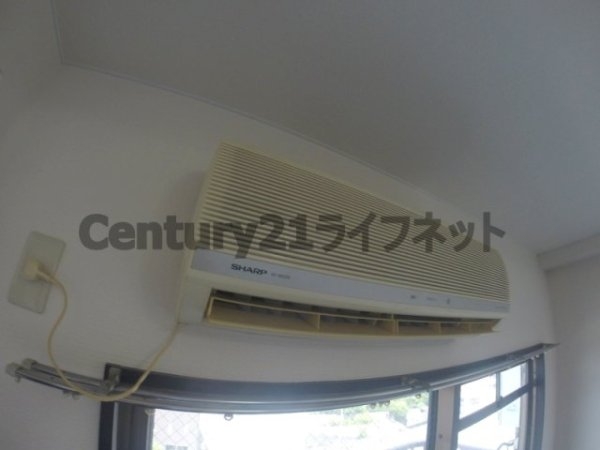 アルテ118