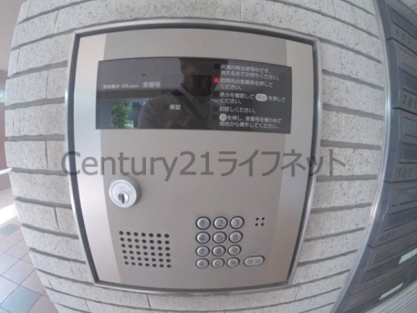 ミモサ中津