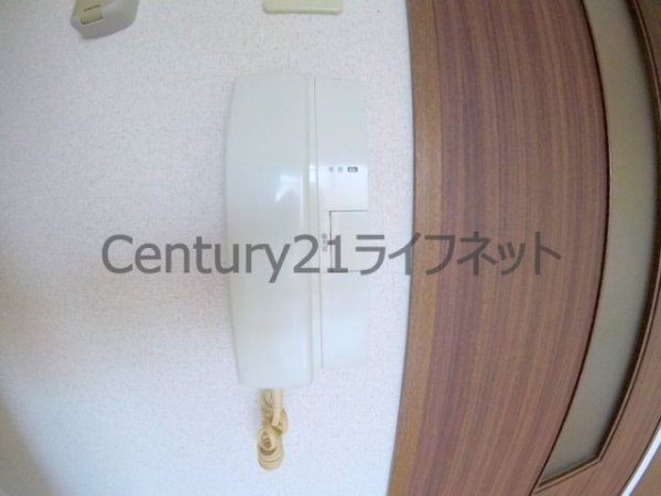 ラピス長柄橋