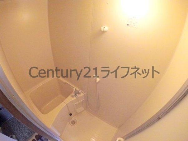 ラピス長柄橋