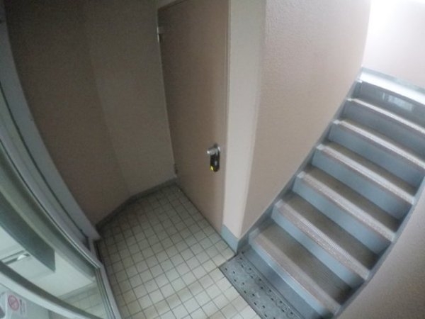 ビスタ緑地1