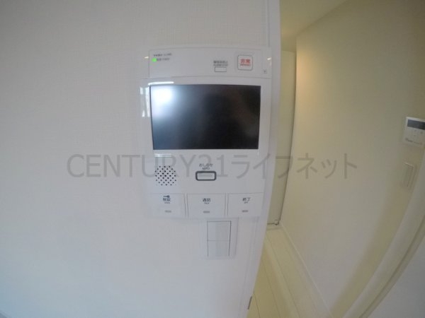 プルメリア江坂