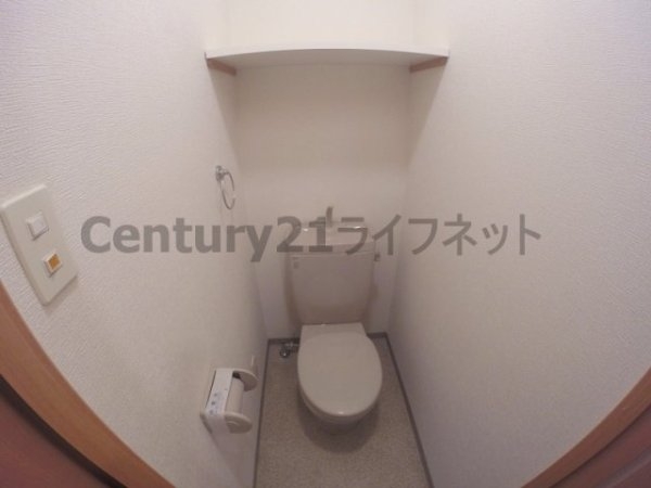 ラフォンテ十三