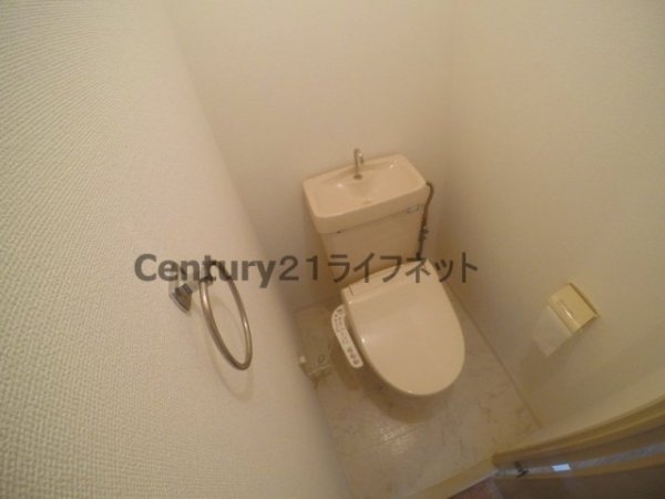 シンセリティ野中