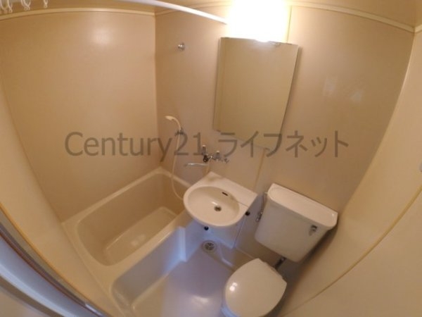 ホワイトハイツ