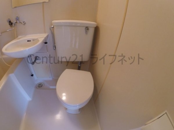 ホワイトハイツ