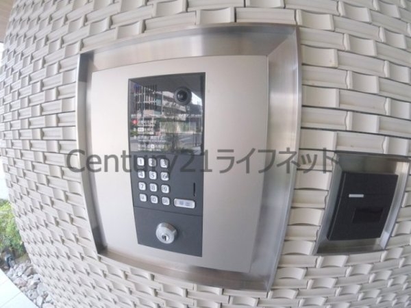 サンクステル