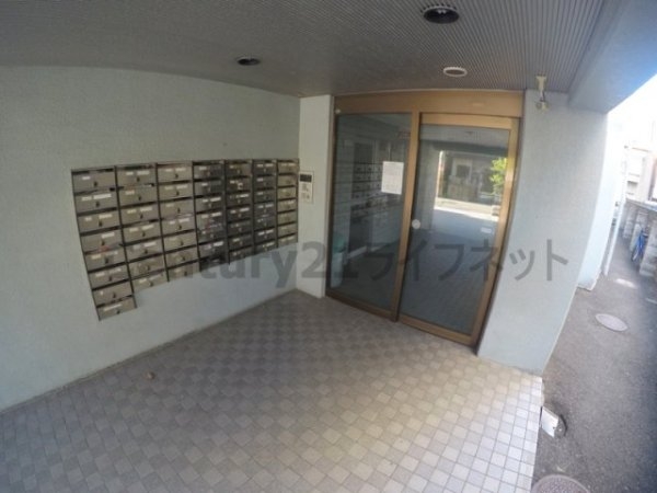 ウィングNo.1