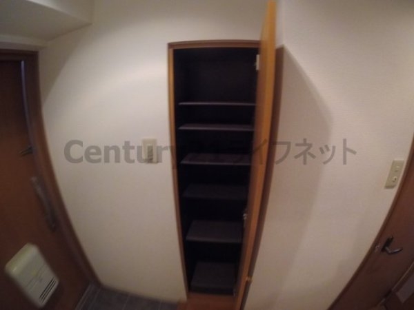オーパス