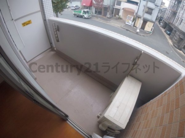 オーパス