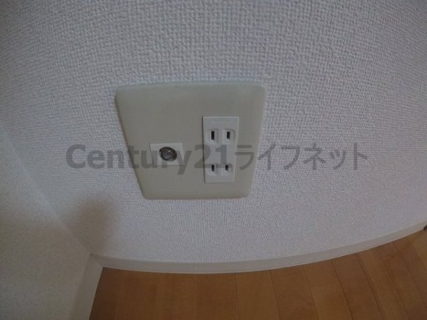 オーパス