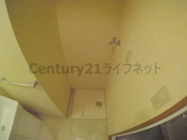 オーパス