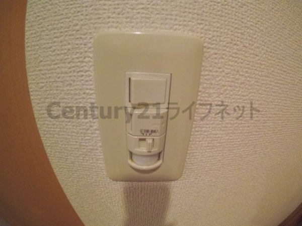 オーパス