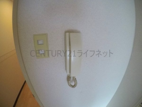 ディオサC・S