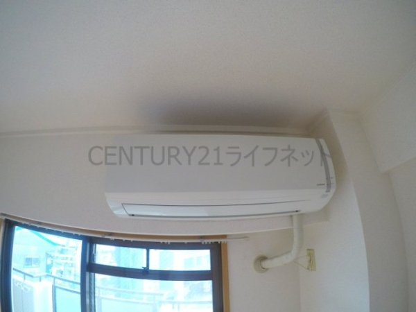ディオサC・S