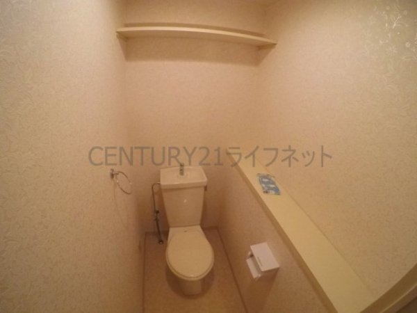 ディオサC・S