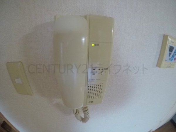 グレース藤田