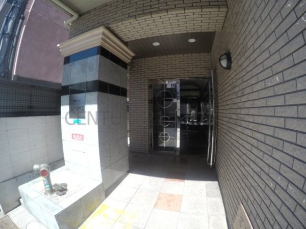 エレーヌ十三