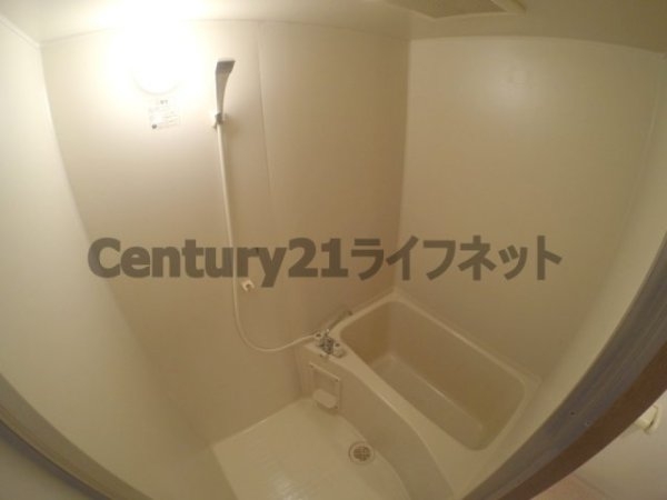 エレーヌ十三