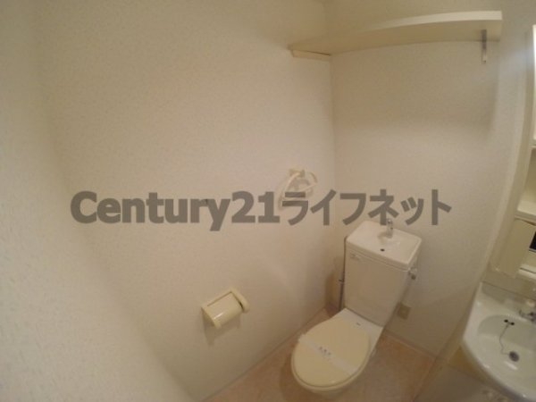 エレーヌ十三