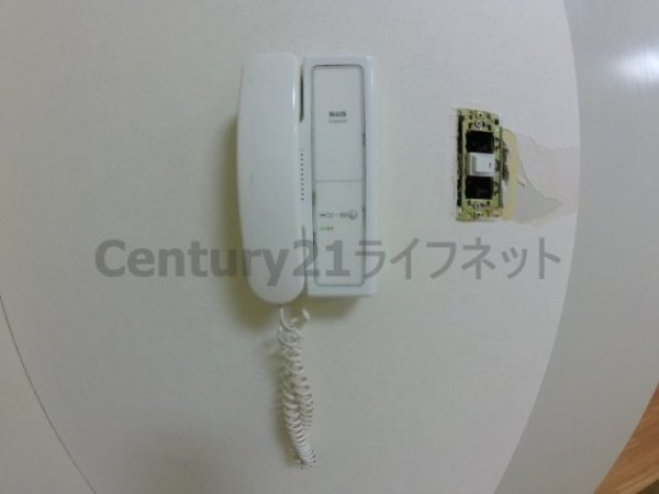 コモド田口