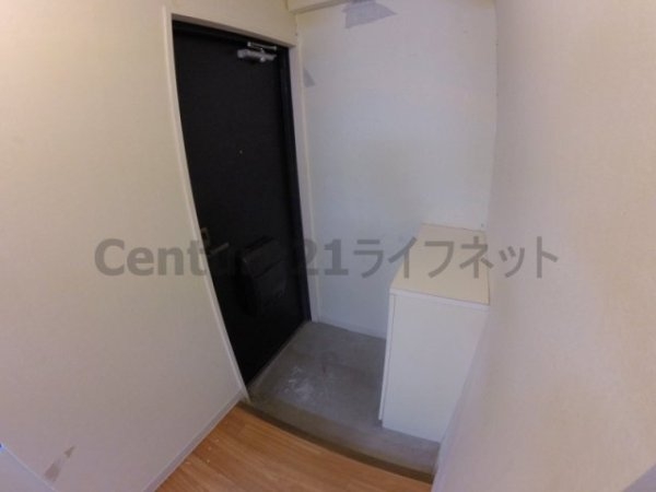 コモド田口