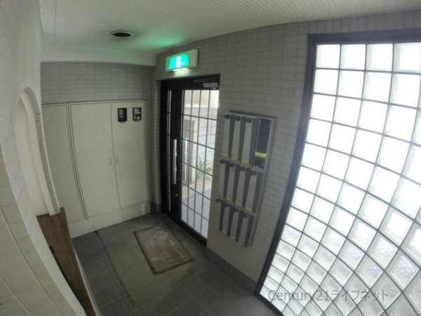コモド田口