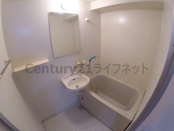 コモド田口