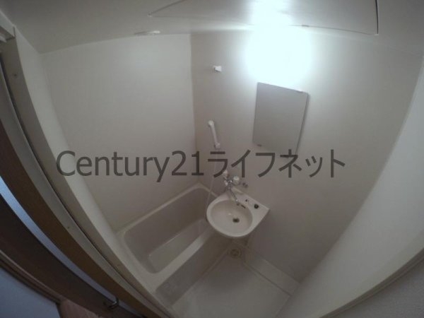 エクセレント上新12