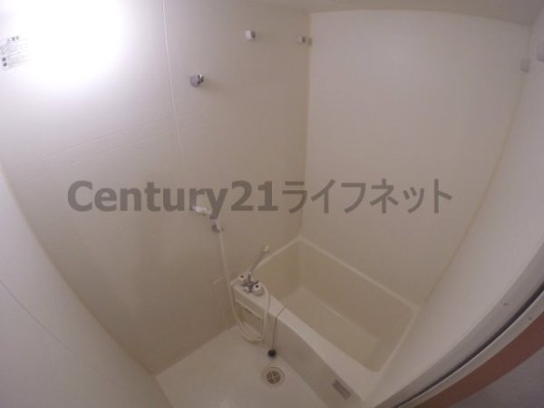 ラフォンテ十三