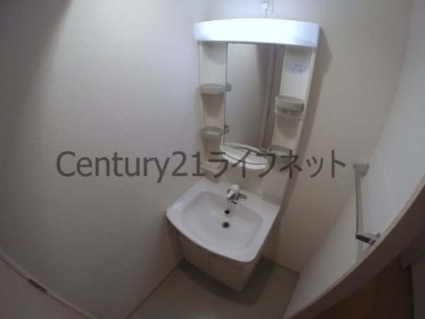ドムスドイ