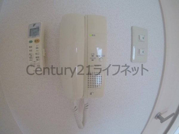 ミモサ中津