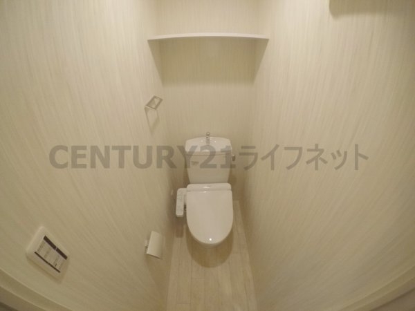 隆和