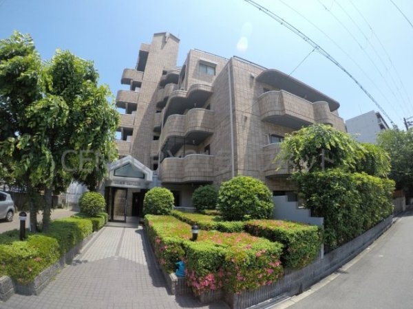 グレイス谷川