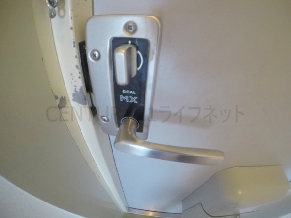 ルガルデレイナ